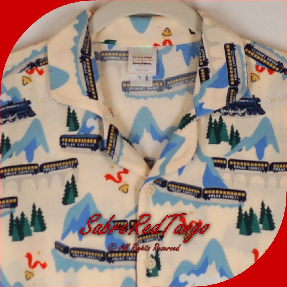 NWT Hanna Andersson Warner Bros Flannel Pajama Set Polar Express Print 150 12 - Picture 3 of 7